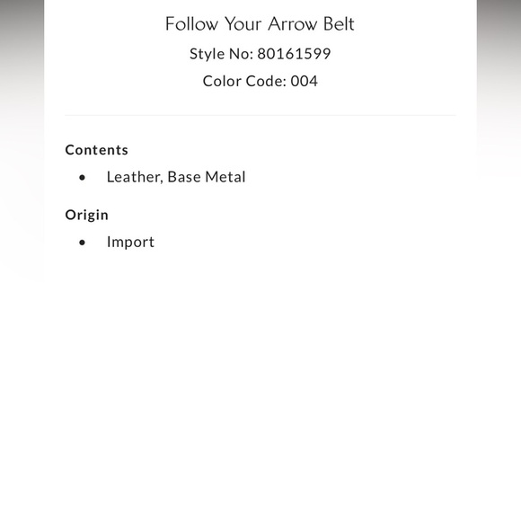 Free People Follow Your Arrow Belt Brown or Black NEW main image 5